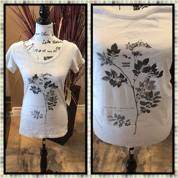 Toms Tops - NWT Toms Scoop Neck T-shirt